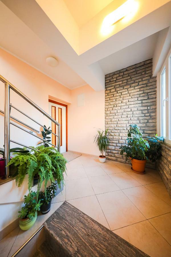 Apartman Antisin ザダル エクステリア 写真